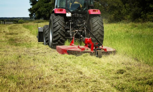 Cost of Brush Clearing Service in Louisville