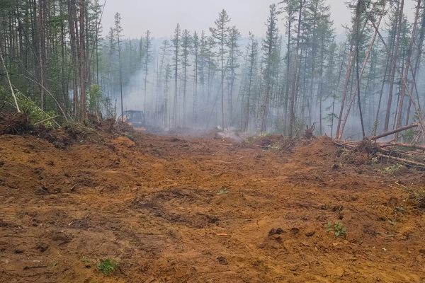 Cost of Hill Clearing in Louisville